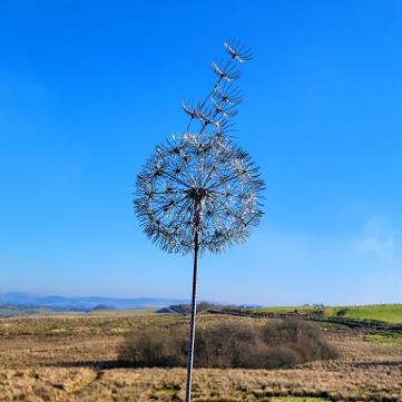 Dandelion Small